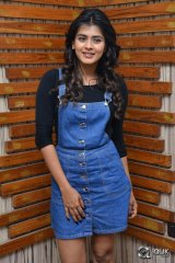 Hebah Patel Interview About Nanna Nenu Naa Boyfriends